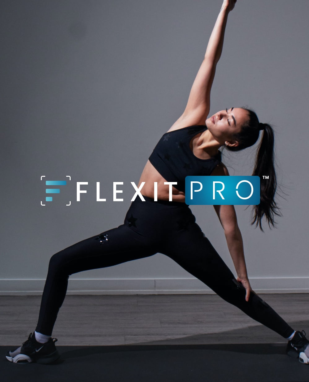 FlexIt PRO